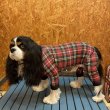 画像4:  人気★再販 【キャバスーツ LIMITED】TARTAN RED (4)