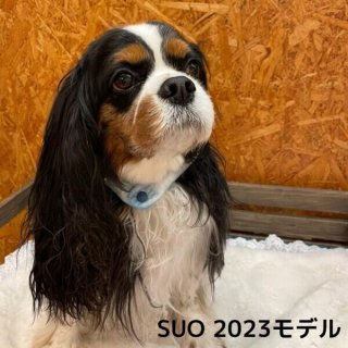 SUO - ＩＮＵ－ＣＬＯＳＥＴ