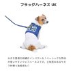 画像2: 【30%OFF】フラッグハーネス：UK (2)