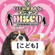 画像1: 【こども】前売券 FUJIDOG2024【CAVALIERS IN フジヤマDISCO】 (1)