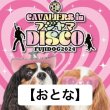 画像1: 【おとな】前売券 FUJIDOG2024【CAVALIERS IN フジヤマDISCO】 (1)