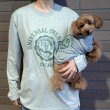 画像14:  10%OFF 【UNIVERSAL OVERALL】DOG HOODIE (14)