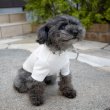 画像11:  10%OFF 【UNIVERSAL OVERALL】DOG T-SHIRT (11)