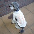 画像16:  10%OFF 【UNIVERSAL OVERALL】DOG T-SHIRT (16)