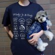 画像15:  10%OFF 【UNIVERSAL OVERALL】DOG T-SHIRT (15)