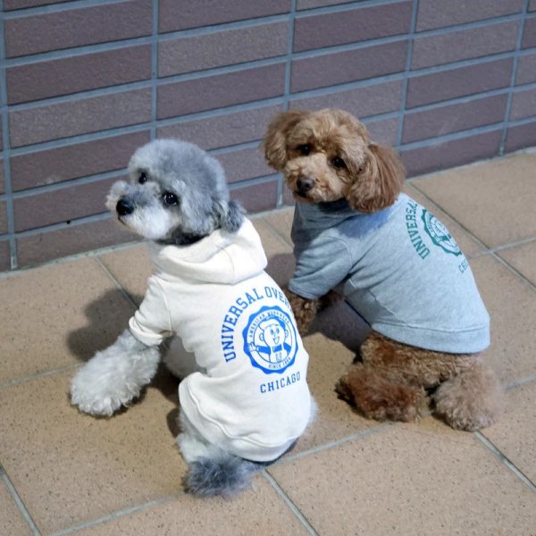 画像1:  10%OFF 【UNIVERSAL OVERALL】DOG HOODIE (1)