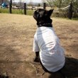 画像14:  10%OFF 【UNIVERSAL OVERALL】DOG T-SHIRT (14)