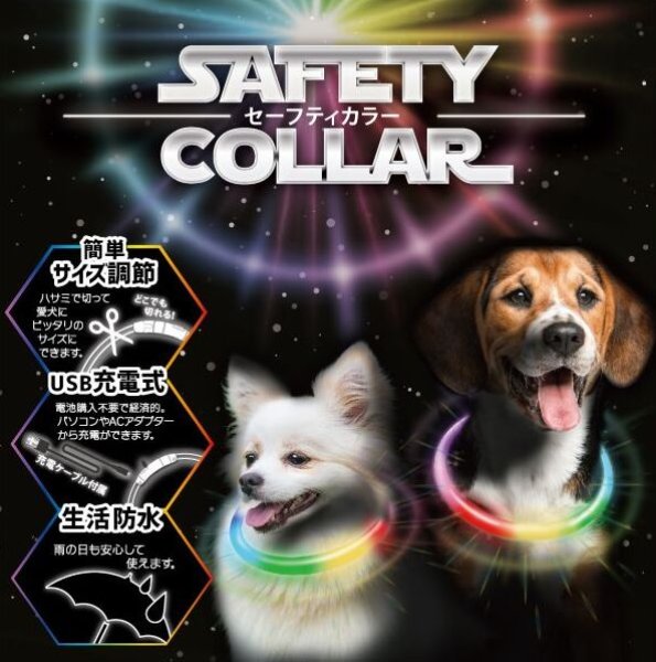 画像1:  【新カラー・新サイズ】 SAFETY COLLAR セイフティカラー スペクトラム 45 (1)