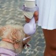 画像2: 【FurReal】chocoleash retractable leash Lite　ファーリアル　ココアリード　ライトモデル (2)