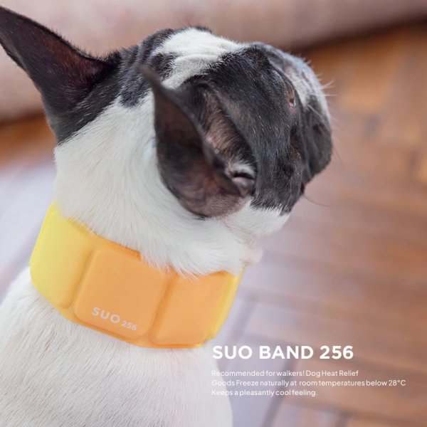 画像1: 【SUO 256 ICE for dogs】SUO BAND gradation（犬用アイスクールバンド） (1)