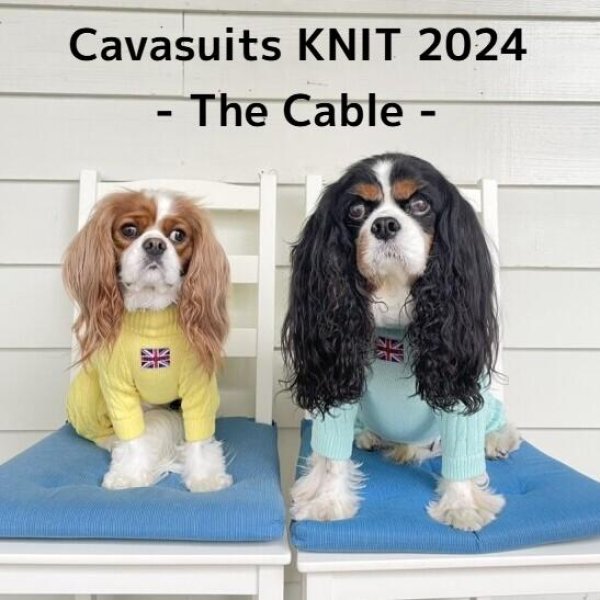 画像1:  2024AW 【Cavasuits KNIT 2024】 The Cable -PASTEL- (1)