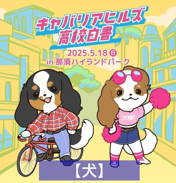 画像1: 【犬・前売券】キャバリアヒルズ高校白書（キャバリアランド2025） (1)