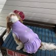画像20:  4月20日まで 【完全受注生産】Cavasuits チアワンピ (20)
